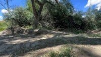 a dirt trail in the middle of a wooded area