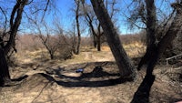 an aerial view of a dirt bike trail in a wooded area