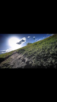 a view of a grassy field with a blue sky